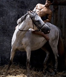 naked horsemen 5993f336ef0c4.jpg