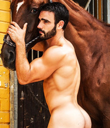 naked horsemen 5993f362bf4a4.jpg