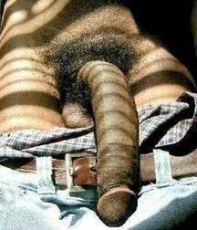 big cocks 3 5a097e2d0aa55.jpg