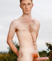 gingers 4 5a1d399604571.jpg