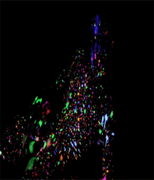 various gifs 5a30fbfe2fe72.gif