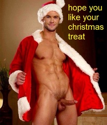 Christmas 5a3b72fa44b45.jpg
