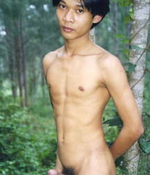 Asian twinks 5 5a4cba3c6c873.jpg