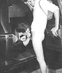 car sex 3 5a9d076d38c74.jpg