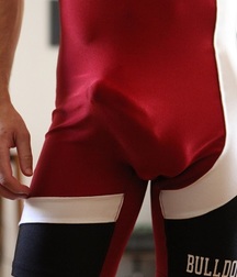 wrestler bulges 5aa8e92b9c9b7.jpg