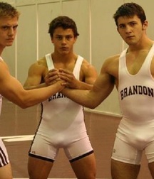 wrestler bulges 5aa8e9405f1a4.jpg