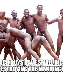 small genitalia 3 5adc5d2e64467.jpg