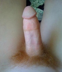 gingers 3 5b61828da14de.jpg
