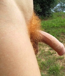 gingers 3 5b6182ce918db.jpg