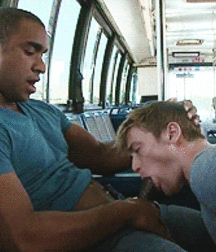 car sex 3 5b6185553b72b.gif