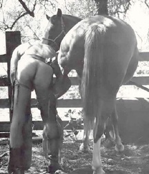 naked horsemen 2 5b780641b0c19.jpg