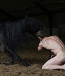 naked horsemen 2 5b780654a94bb.jpg