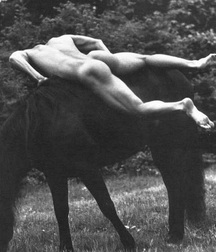 naked horsemen 2 5b7806595c3da.jpg
