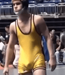 wrestlers 5c5ff7bed3cf2.gif
