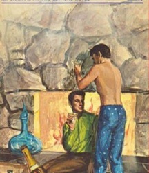 gay paperbacks 5ed63b9ae1792.jpg