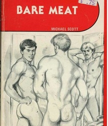 gay paperbacks 5ed63ba8e2bab.jpg