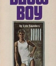 gay paperbacks 5ed63bab3b3fe.jpg