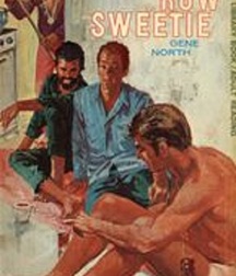 gay paperbacks 5ed63bb277fc8.jpg