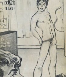 gay paperbacks 5ed63bb4a098b.jpg
