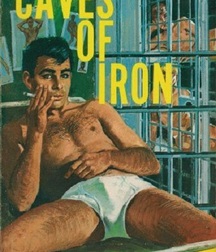 gay paperbacks 5ed63bb726a04.jpg