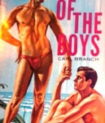 gay paperbacks 5ed63bbc117ca.jpg