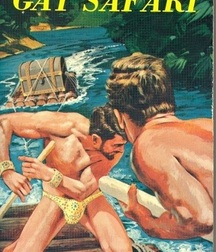 gay paperbacks 5ed63bc90f58f.jpg