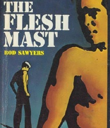 gay paperbacks 5ed63bfabffb8.jpg