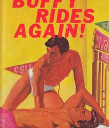 gay paperbacks 5ed63bfd1bda4.jpg