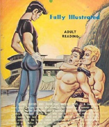gay paperbacks 5ed63bff7503a.jpg