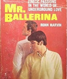 gay paperbacks 5ed63c043a248.jpg