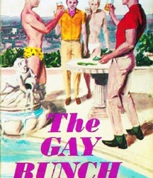 gay paperbacks 5ed63c1b3dedc.jpg