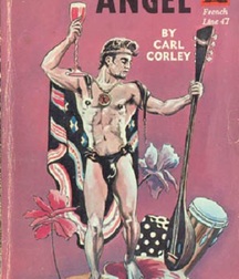 gay paperbacks 5ed63c3503758.jpg