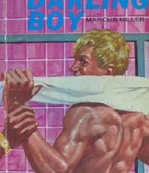 gay paperbacks 5ed63c3c285bf.jpg