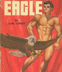 gay paperbacks 5ed63c443f454.jpg