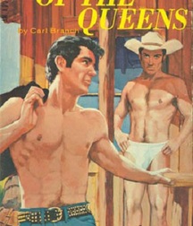 gay paperbacks 5ed63c55451ce.jpg