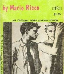 gay paperbacks 5ed63c57adbee.jpg