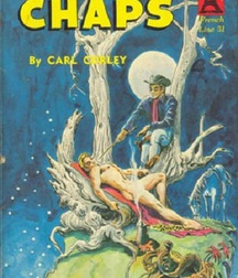 gay paperbacks 5ed63c5cb3c48.jpg