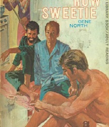 gay paperbacks 5ed63c5f060e7.jpg