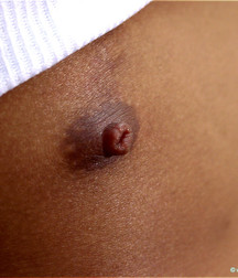 sexy nips o1 5c85f8be716c4.jpg