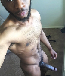 Black Cocks 5867a4922206d.jpg