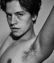 Famous boys: Dylan and Cole Sprouse 5ea3f42c9edbe.jpeg