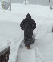 snow day 58c997cfacf86.jpg