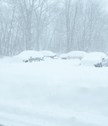 snow day 58c997ea74069.jpg