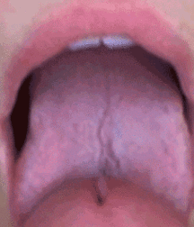 Photo Gallery 02 5d4cf61d6a603.gif