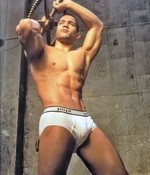 Briefs 15