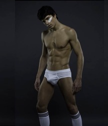 Briefs 17 5730149d3cedb.jpg