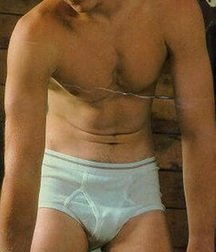 Briefs 19 573917a8bbf31.jpg