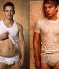 Briefs 23 573a41f85c3d0.jpg
