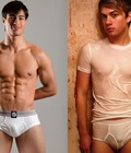 Briefs 23 573a4212f36d5.jpg
