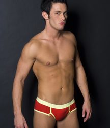 Briefs 33 585986abe77c4.jpg